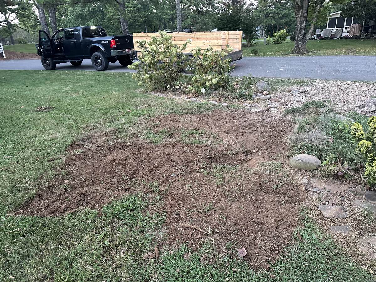 Cleared stump site ready for grass to fill back in