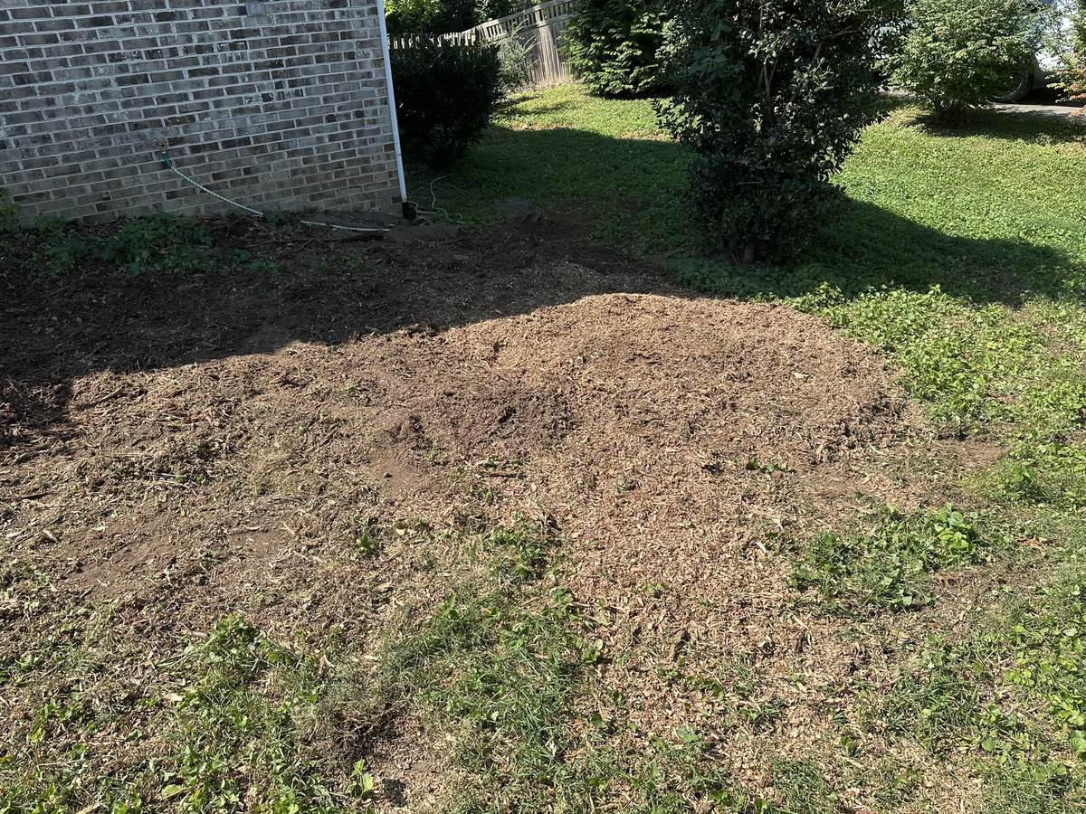 Finished stump grinding cleanup near a home foundation